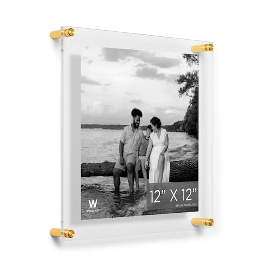 Wexel Art Double Panel Clear Acrylic Floating Wall Frame with Gold Hardware